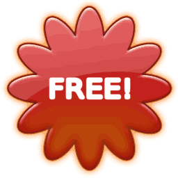 IT Network Free Support